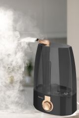 GOLDMASTER GM-7912 BUHAR MAKINESI